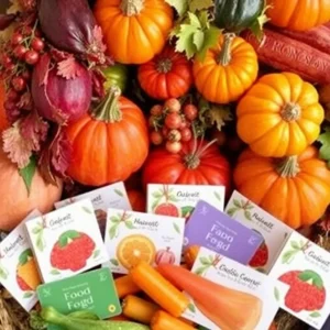 Chattanooga Kicks Off Holiday Harvest Contest with Exciting Food Gift Card Prizes!