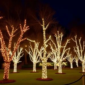 Chattanooga's Walnut Street Bridge to Skip Holiday Snowflakes for Renovations